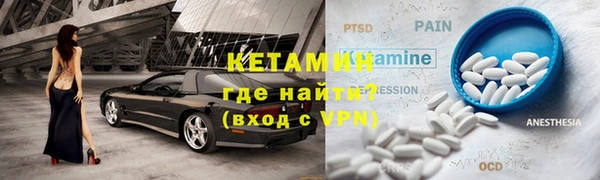 индика Алексин