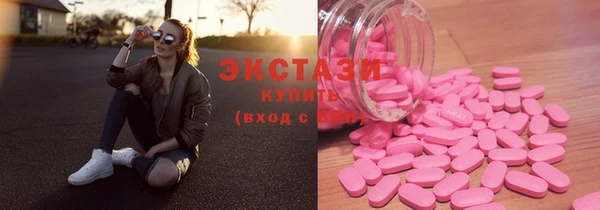 индика Алексин