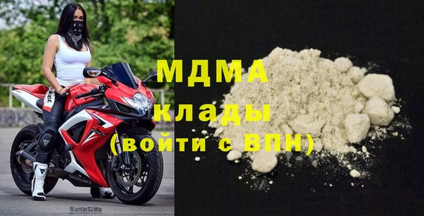 индика Алексин