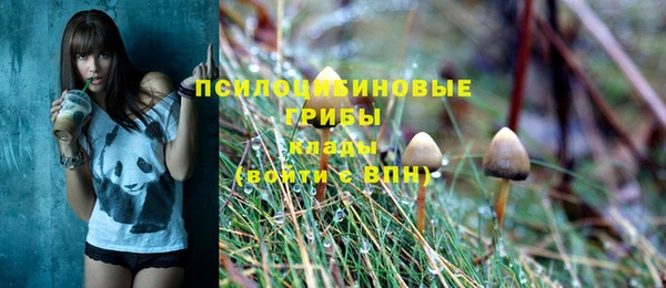 трава Гусев