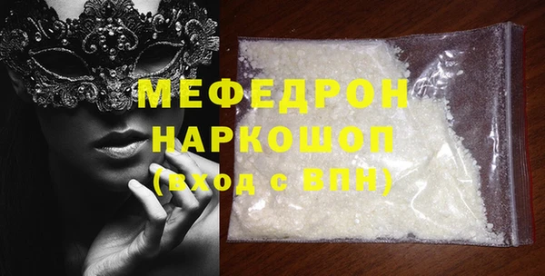 индика Алексин