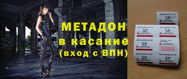индика Алексин