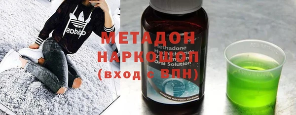 индика Алексин