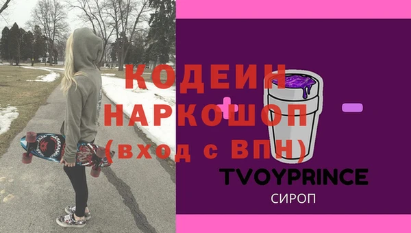 индика Алексин