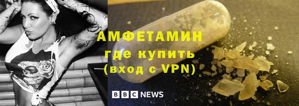 индика Алексин