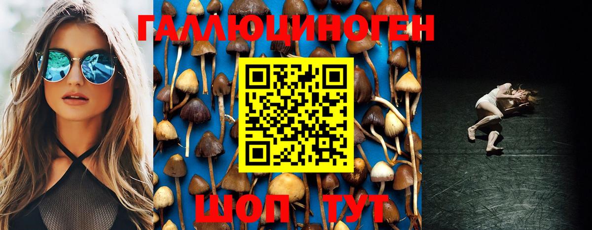 Псилоцибиновые грибы MAGIC MUSHROOMS  Вход с VPN  Лесосибирск 